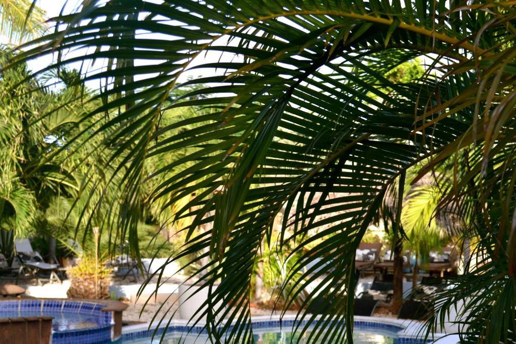 Bananas Apartments Adults Only شاطئ بالم المظهر الخارجي الصورة