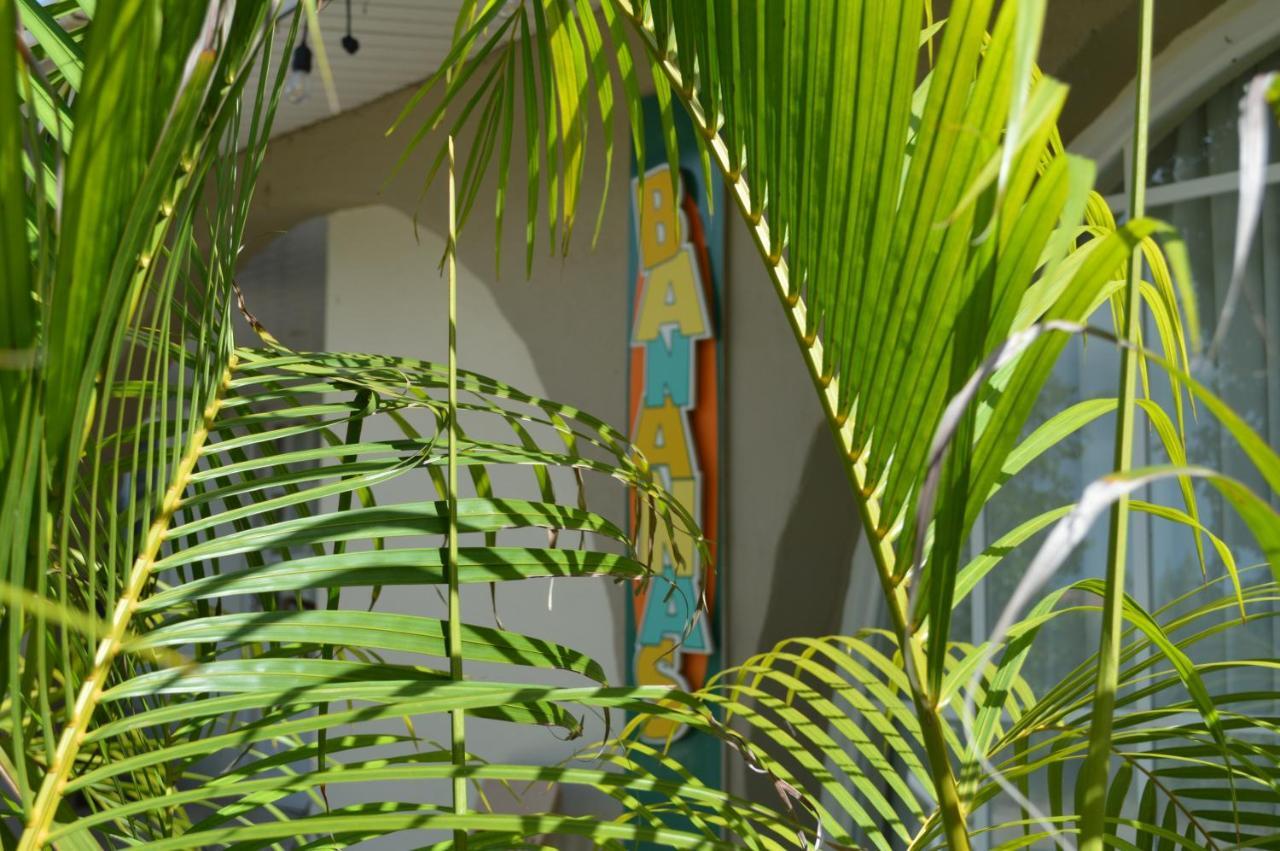 Bananas Apartments Adults Only شاطئ بالم المظهر الخارجي الصورة